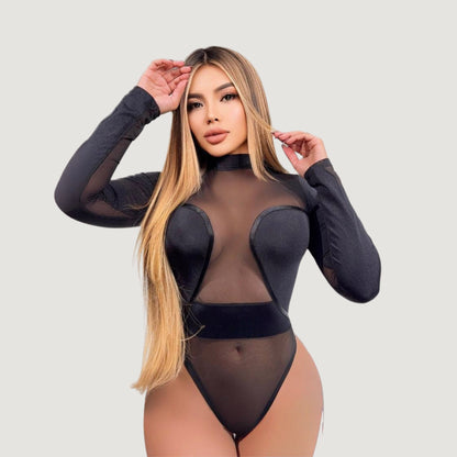 Sexy High Cut Sheer Bodysuit..