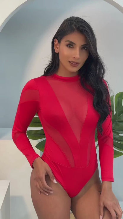 Sexy Bodysuit - Spandex - Mesh Mix